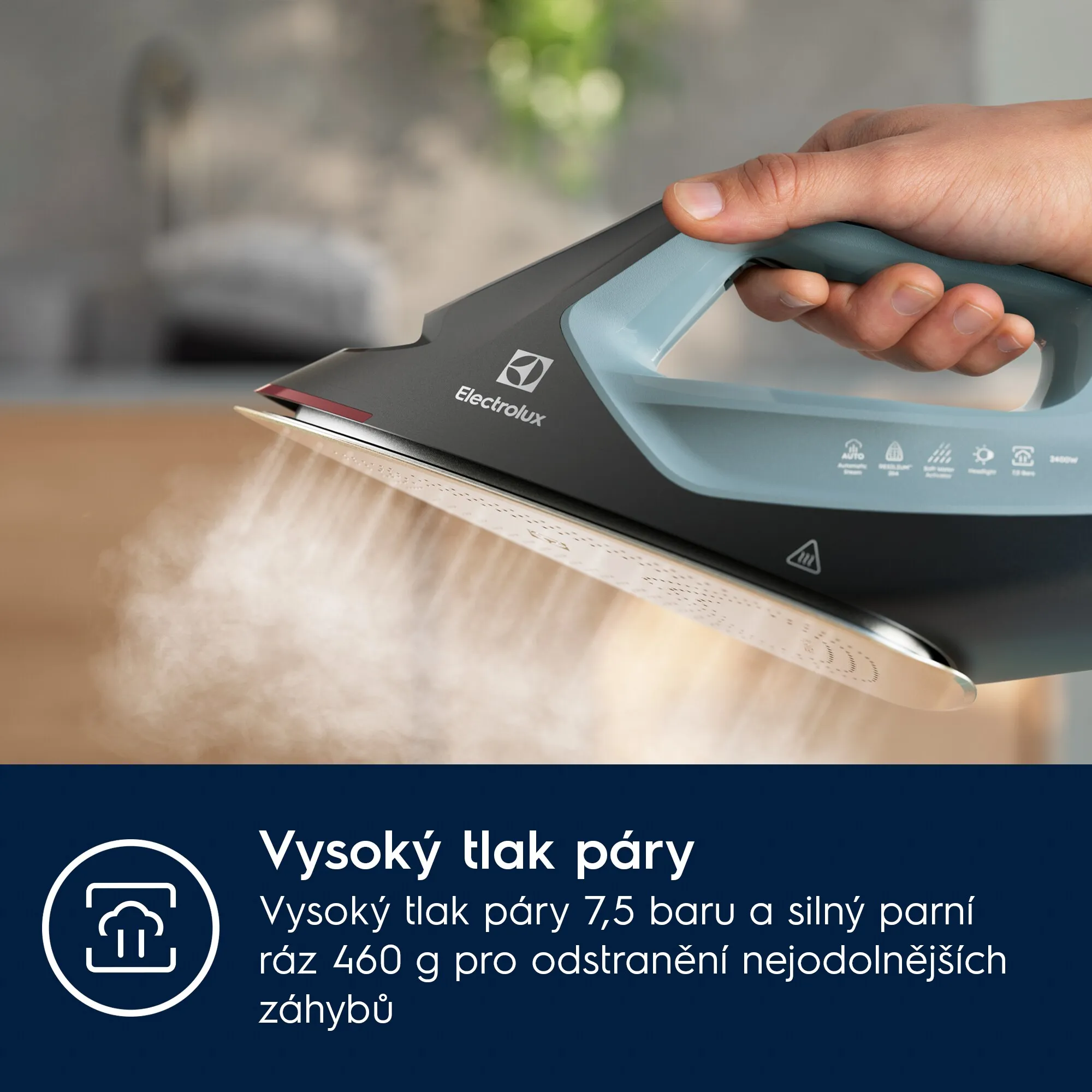 obrázek produktu::Parní generátor Renew 800